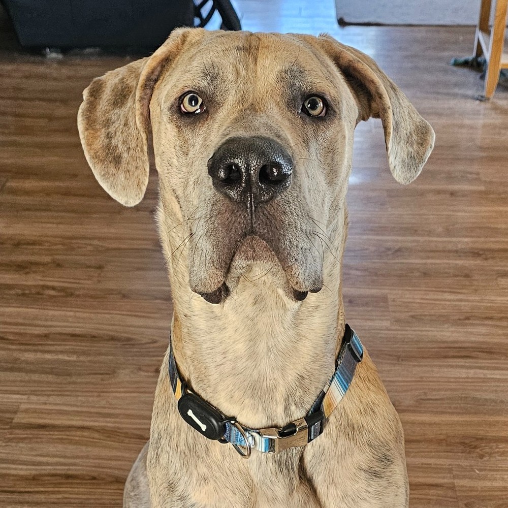 Meet your Posher, Tawnya